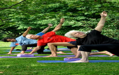 Fit and mindful seniors