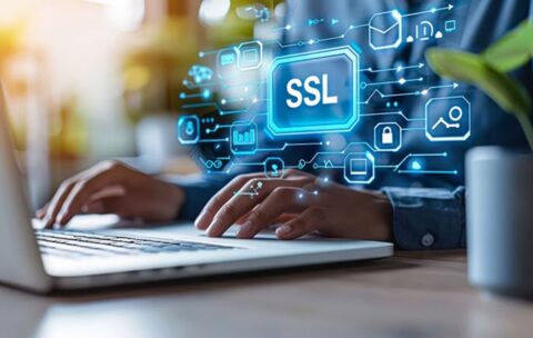 One of the roles that SSL certificates play in…